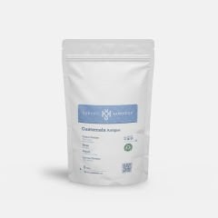 Guatemala Antigua Filtre Kahve